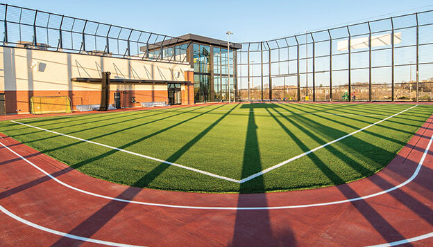 THE FIELD