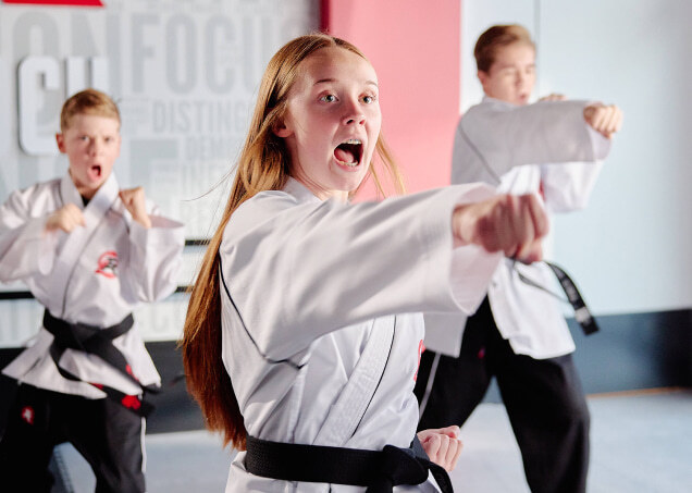 Tiger-Rock Martial Arts