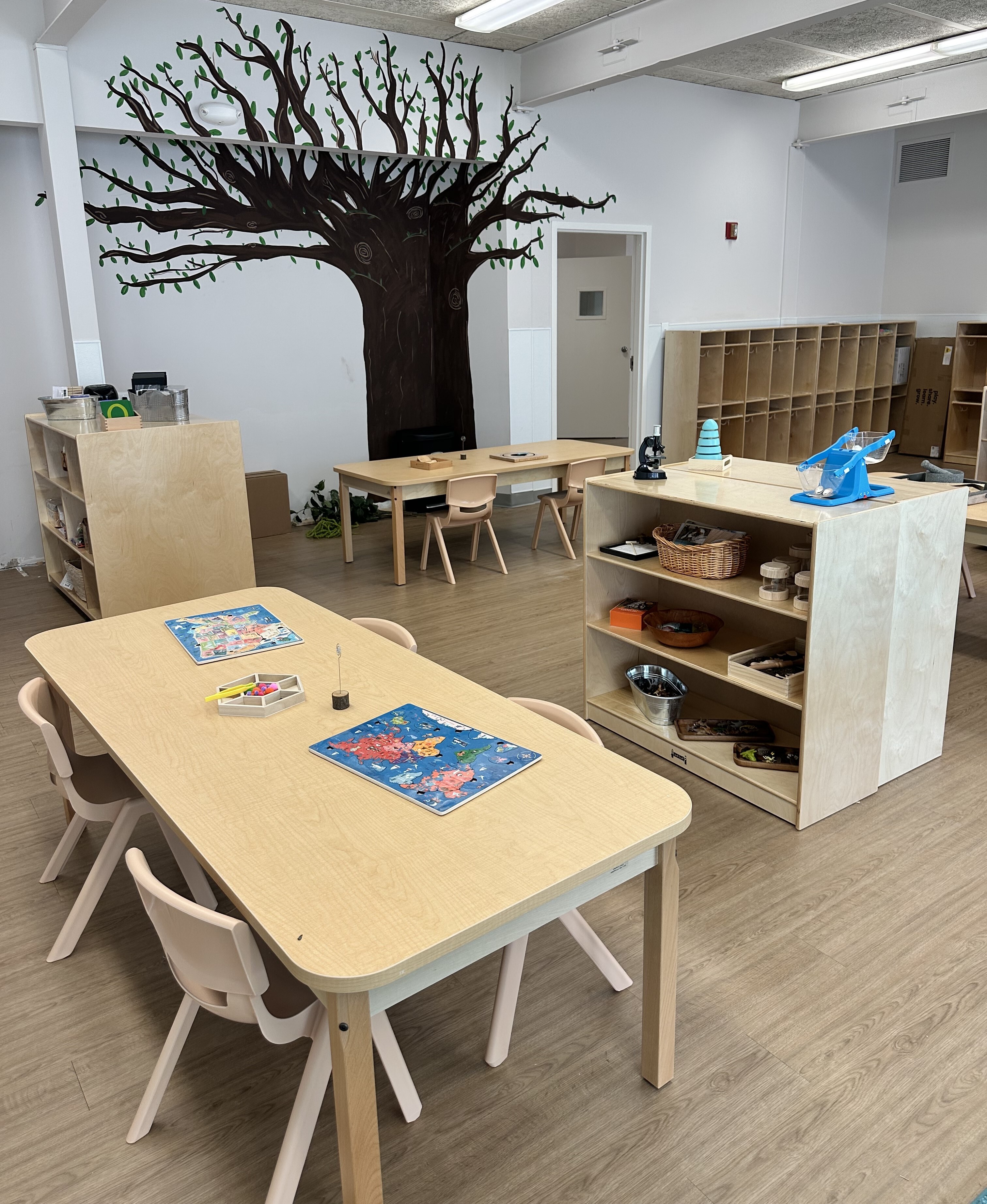 Riverstones Academy