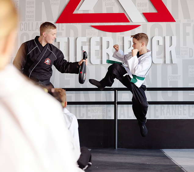 Tiger-Rock Martial Arts